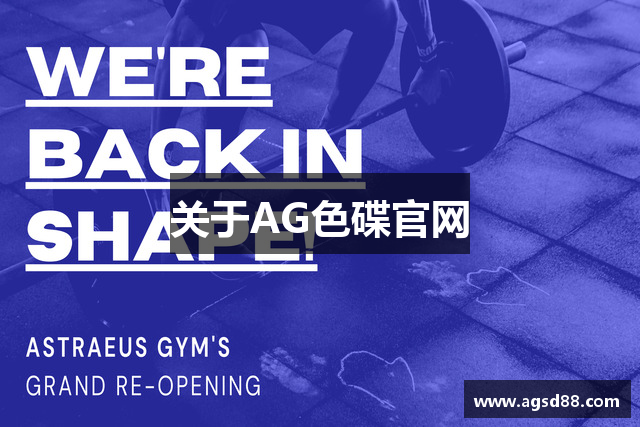关于AG色碟官网